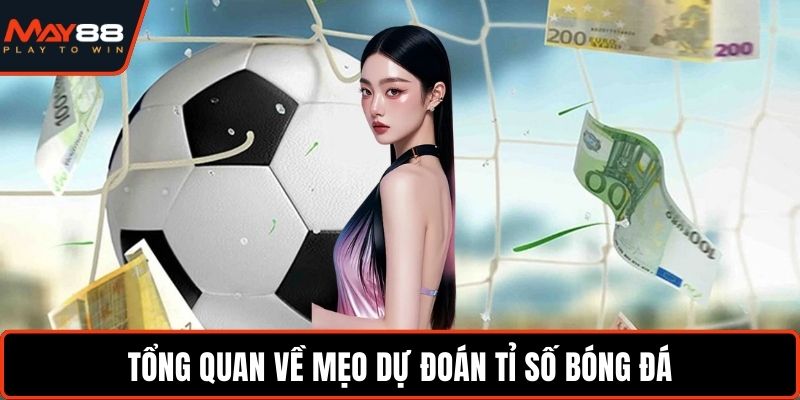 Mẹo Dự Đoán Tỉ Số Bóng Đá Chuẩn Dữ Liệu Thực Chiến Hay Tổng quan về mẹo dự đoán tỉ số bóng đá